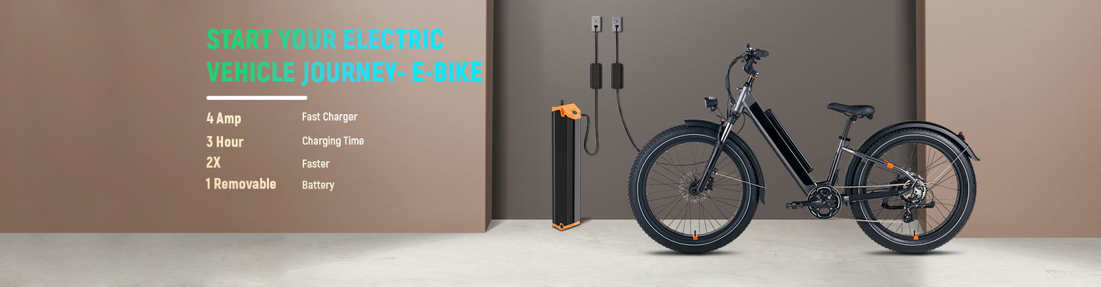 pin xe đạp điện